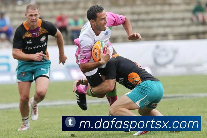 大发官网平台生态图